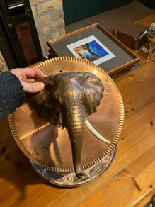 elephant head