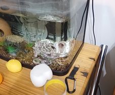 Aquarium