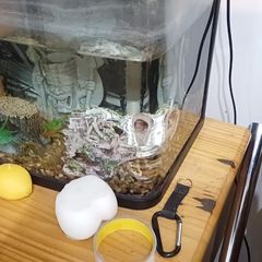 Aquarium all set