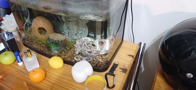 Aquarium