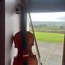 Hindersine student violin / fiddle full size 4/4 Image 5