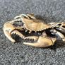 3 brass crabs,. Solid brass. Image 3