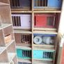 Pigeon loft Image 5