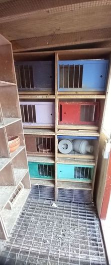 Pigeon loft