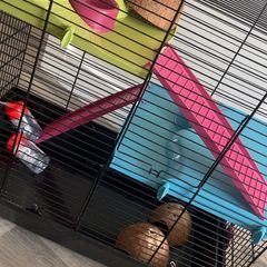 Hamster cage