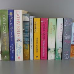 Women's fiction novels