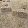 Organic Hay Image 2