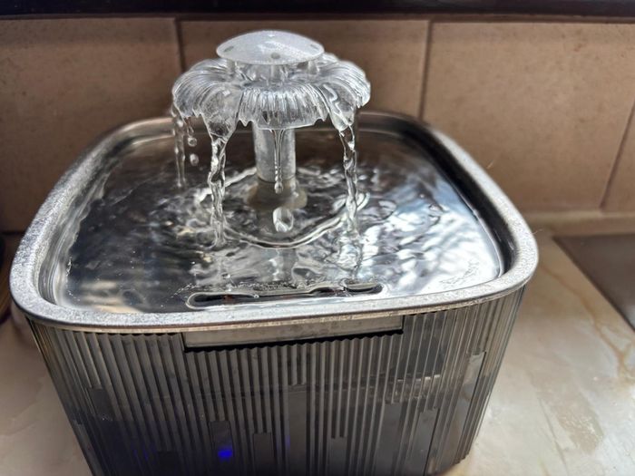 Cat Water Fountain for Drinking