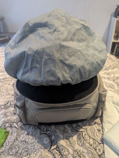 Sightseer Backpack Pet Carrier