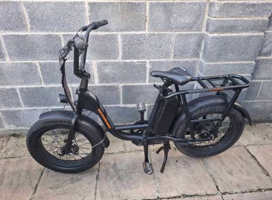 Radpower Electric Bike