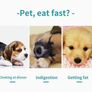 Slow feeding dog bowl Image 4