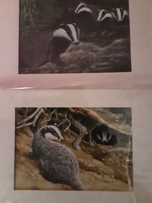 various mounted animal prints wild and tame