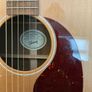 Gibson J45 Studio Image 3