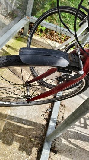 Cycle / Bike