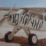 Safari Airplane Image 3
