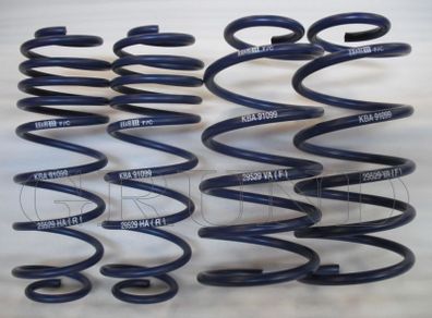 VW Lupo SEAT Arosa H&R Lowering Springs