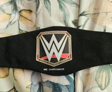 WWE mini wrestling Championship
