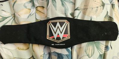 WWE mini wrestling Championship