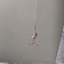 Wooden white 5-drawer chest Image 5