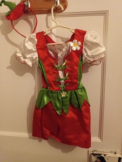 Girls fancy dress agec3-4