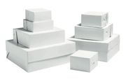 Lot of 10 Large White Cake Boxes 14 x 14 x 6 inches cake Box bakery 35 x 35 x 15 cm brand NEW box flatpack eco friendly