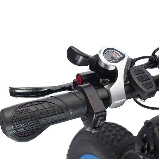 Philodo H8 Dual Motor Fat Tire Cargo Bike