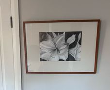 Large Original Framed Pencil / Graphite Drawing