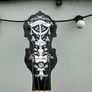 Paramount Style F Tenor banjo Image 3