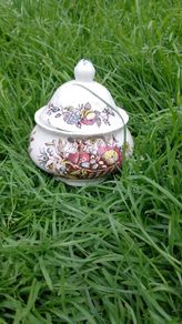 Fruits and Flowers Sugar Bowl