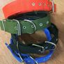 Large dog collars to clear Image 3