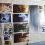Lord of The Ring stamps Image 6