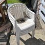 4 garden chairs Image 4