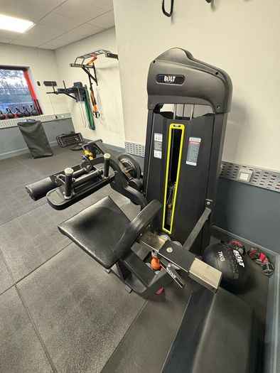 Seated Leg Curl/Extension Machine