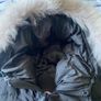 Black Canada Goose coat Image 7