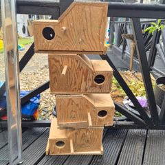 bird nesting boxes & accessories