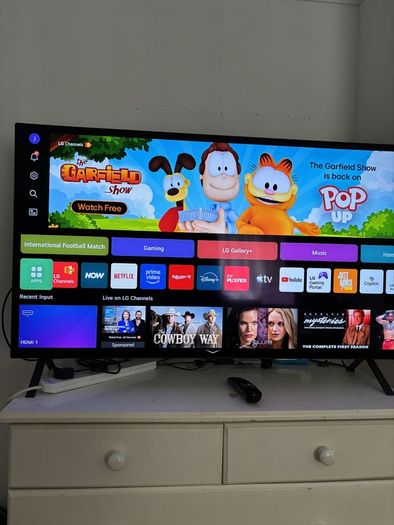 48 Inch Oled Lg B5 - Like New