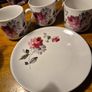 Vintage 321 Myott England Delft Ironstone Rosita Image 3