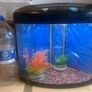 large light up fish tank Image 3
