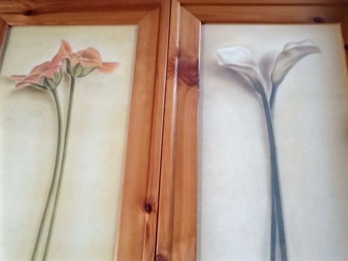 Beautiful Set of 2 Large Flower Pictures