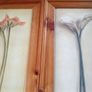 Beautiful Set of 2 Large Flower Pictures Image 4