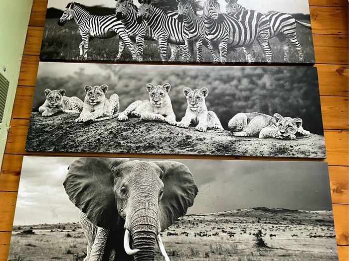 Large Black & White Wall Art Prints. Set of 3