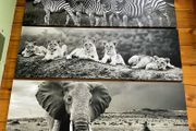 Large Black &amp; White Wall Art Prints. Set of 3