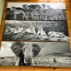 Large Black & White Wall Art Prints. Set of 3