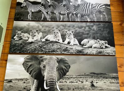 Large Black & White Wall Art Prints. Set of 3