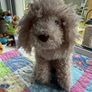 jellycat Image 2