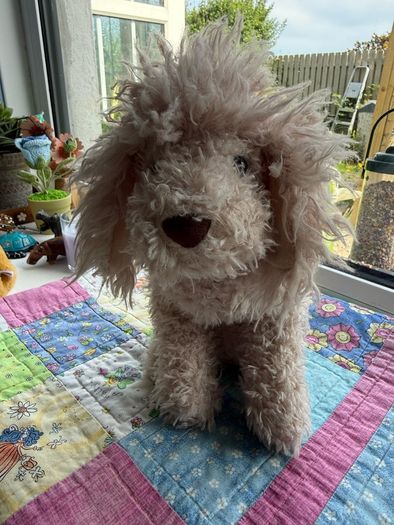 jellycat