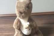 AS NEW Kangaroo Soft Toy