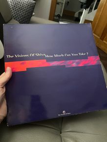 1993 The visions of shiva How much can you take 12" vinyl
