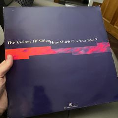 1993 The visions of shiva How much can you take 12" vinyl