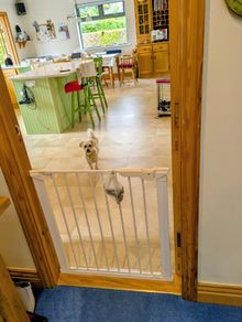 Safety gate (for baby and pet safety)